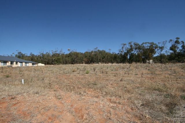 Lot 107 Tamblyn Street, CLARE, SA 5453