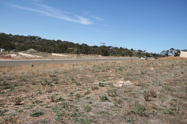 Lot 106 Tamblyn Street, CLARE, SA 5453