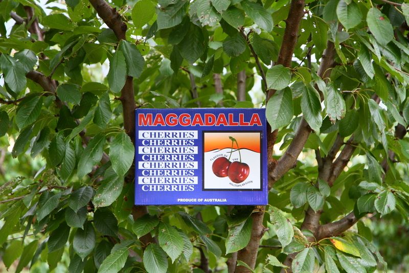 760 Spring Creek Road, YOUNG, NSW 2594