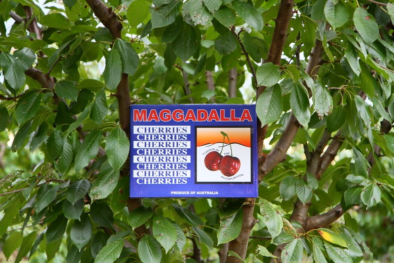 760 Spring Creek Road, YOUNG, NSW 2594