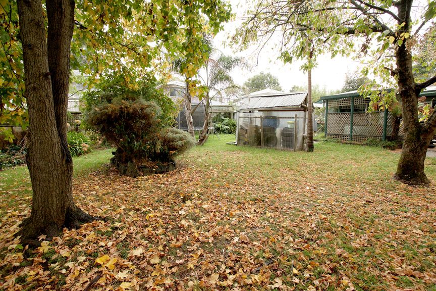 20 Clyde Street, FERNTREE GULLY, VIC 3156
