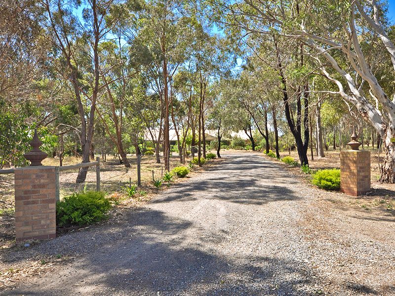 219 Rifle Range Road, MCLAREN VALE SA 5171