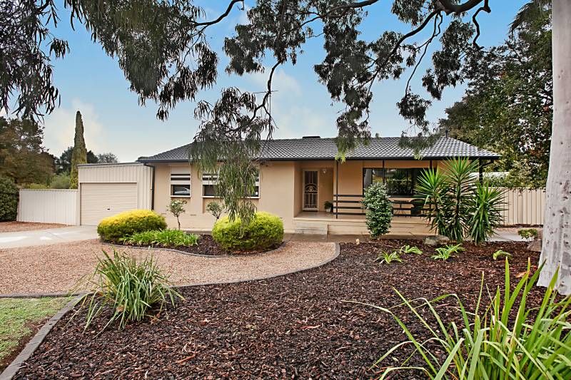 56 Kurrajong Street, SURREY DOWNS SA 5126