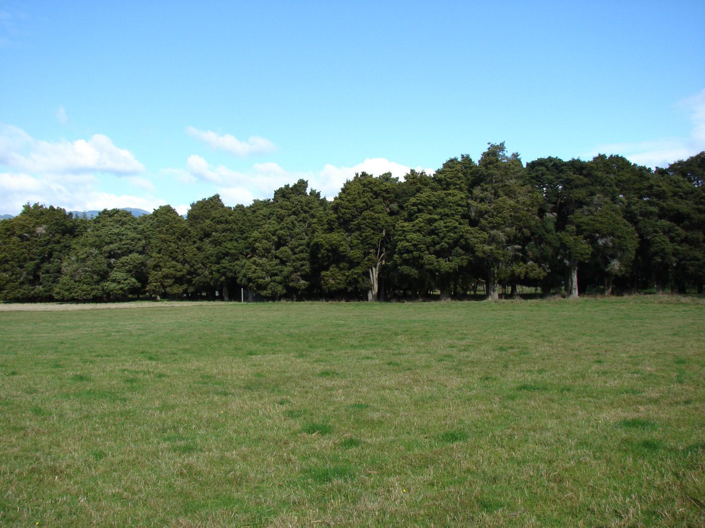 724 Wakefield Kohatu Road, WAKEFIELD, Tasman District