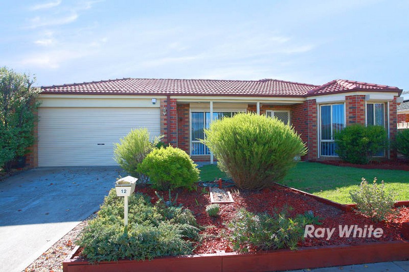 12 Tauna Place, CRANBOURNE, VIC 3977