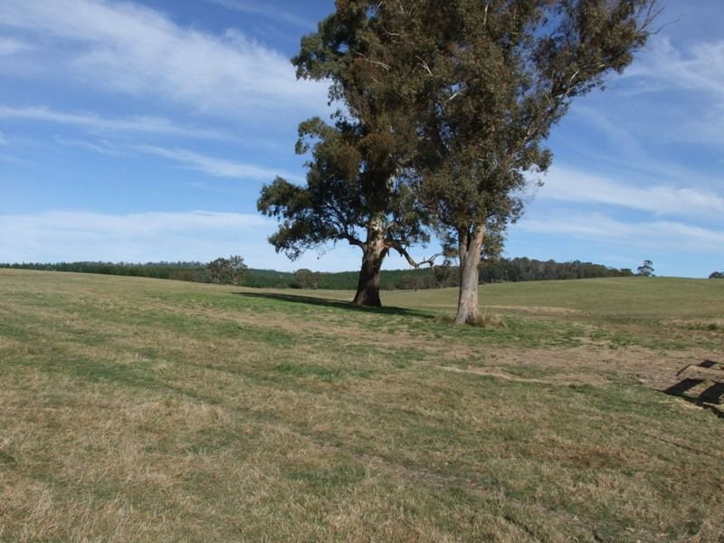 809 Dark Corner Road, BATHURST NSW 2795
