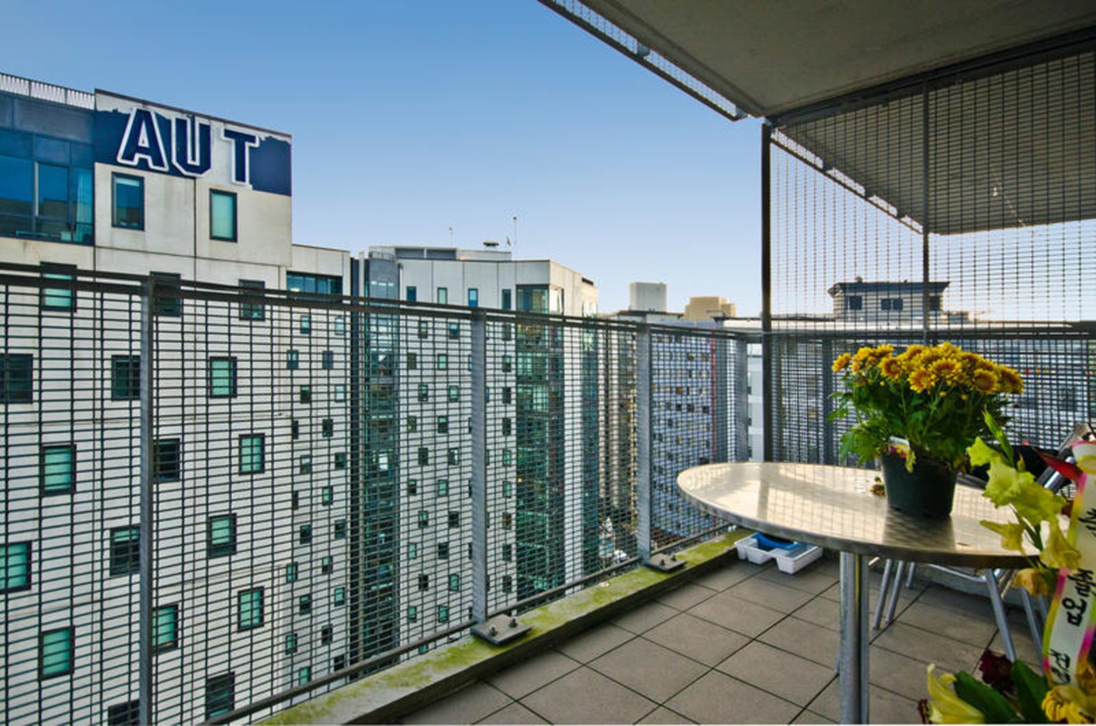 AUCKLAND CENTRAL, Auckland City