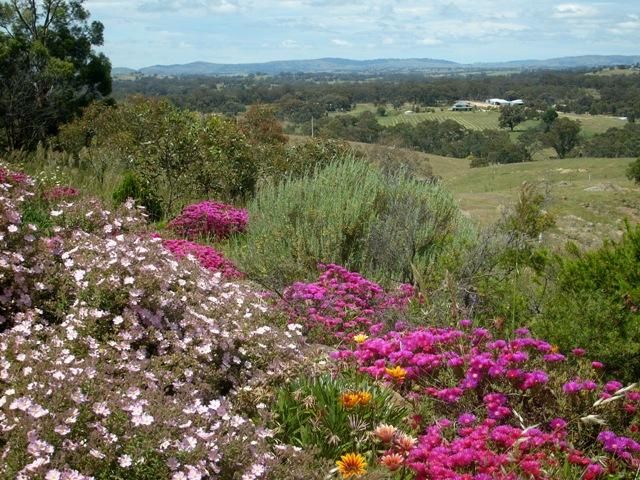 Lot 1/493 Heathcote-Redesdale Road, HEATHCOTE, VIC 3523