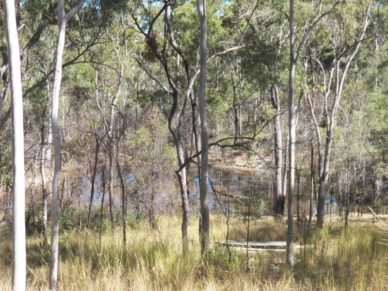 239 Haddock Drive, BURUA, QLD 4680