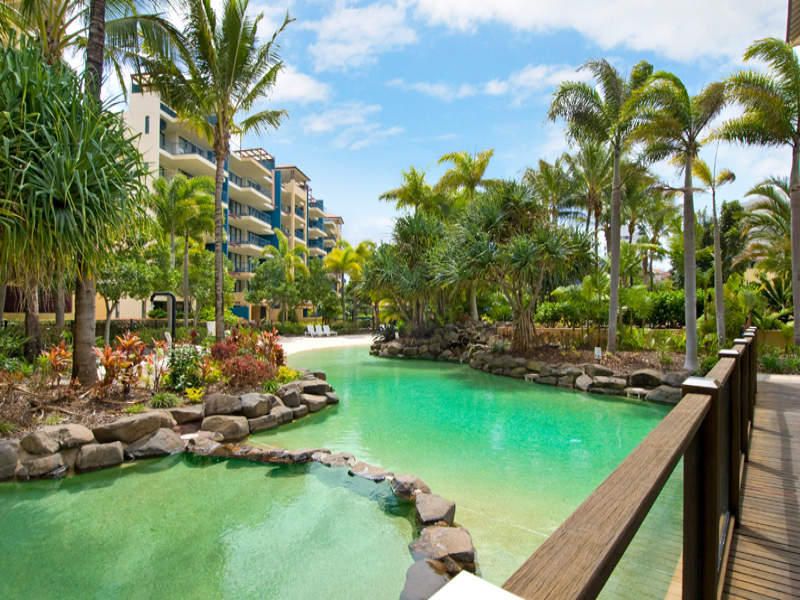 530/21 Wirraway Street, ALEXANDRA HEADLAND, QLD 4572