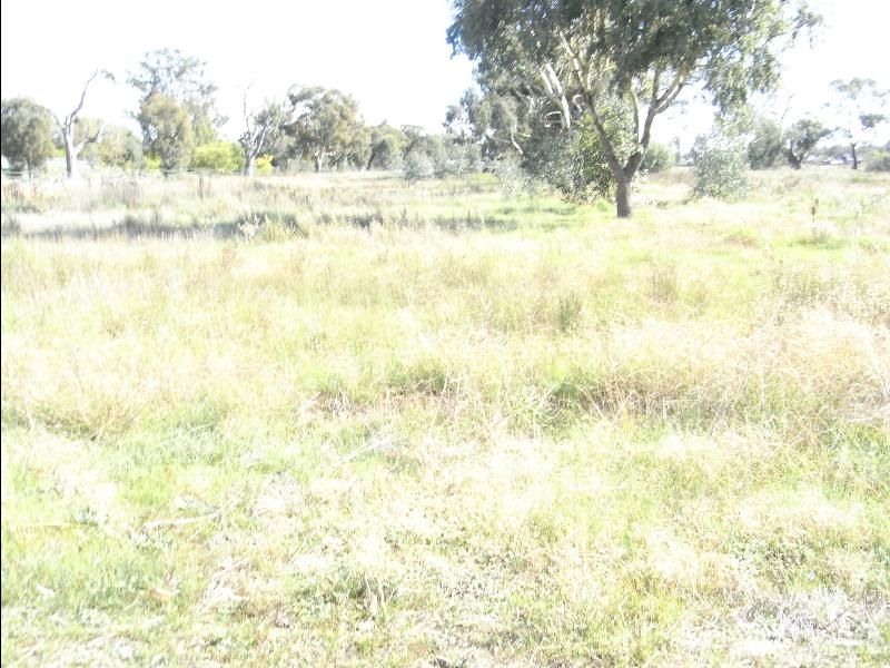 181 - 195 Pell Street, HOWLONG, NSW 2643