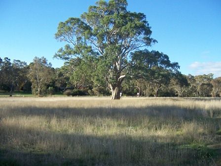 Lot 82 Joseph Court, BLAKISTON, SA 5250