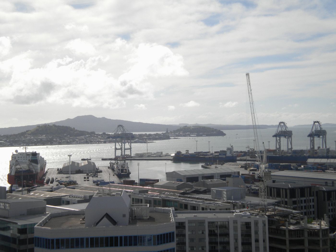 AUCKLAND CENTRAL, Auckland City