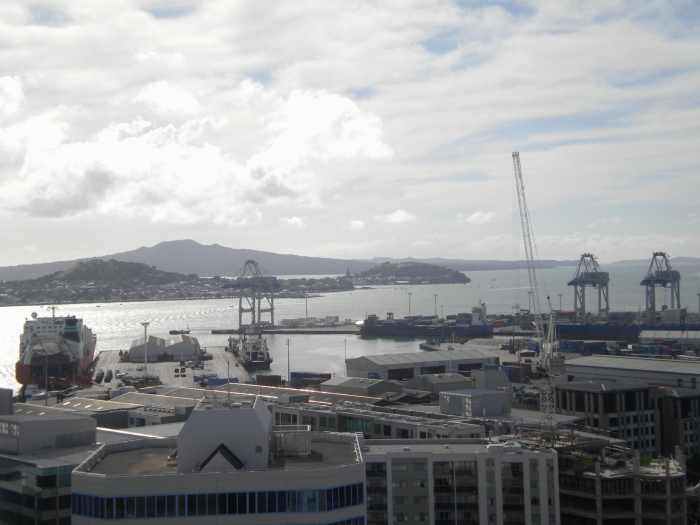 AUCKLAND CENTRAL, Auckland City