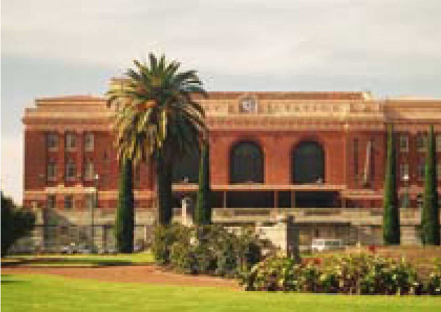 AUCKLAND CENTRAL, Auckland City
