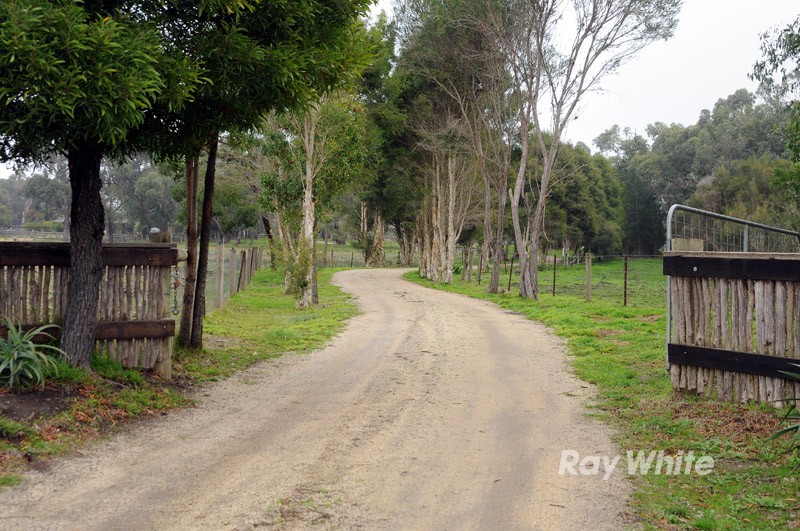 131 Vowell Drive, PEARCEDALE, VIC 3912