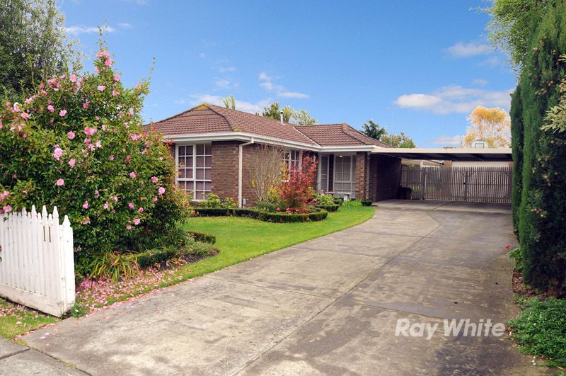 11 Oakden Street, PEARCEDALE VIC 3912