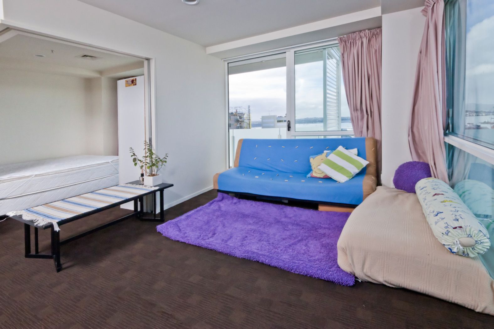 AUCKLAND CENTRAL, Auckland City