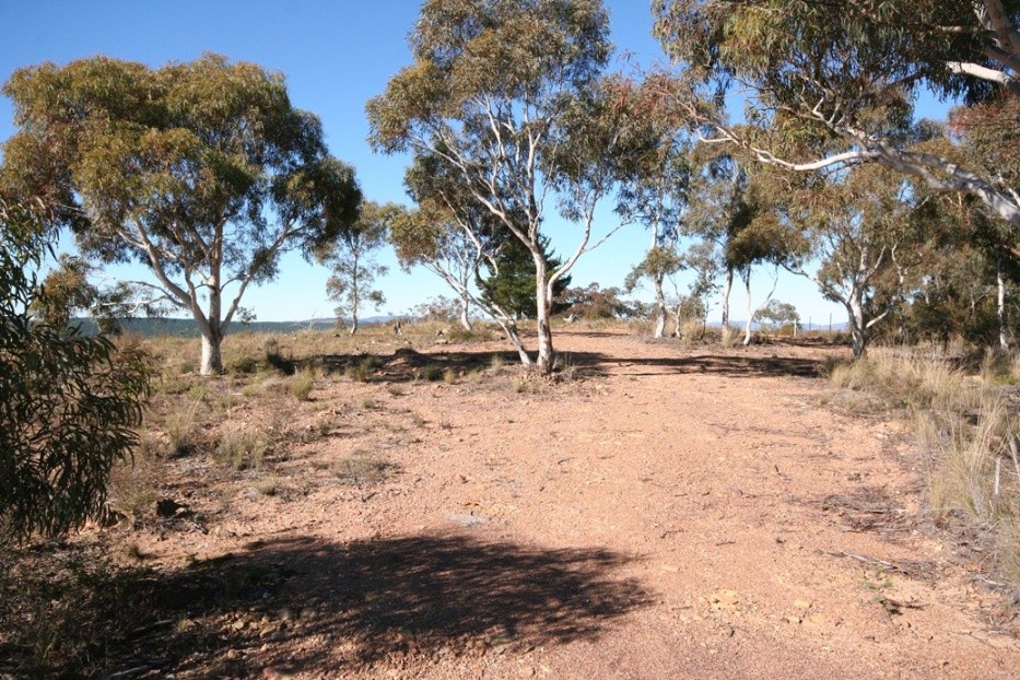 Lot 4 Latrigg Park, CARWOOLA, NSW 2620