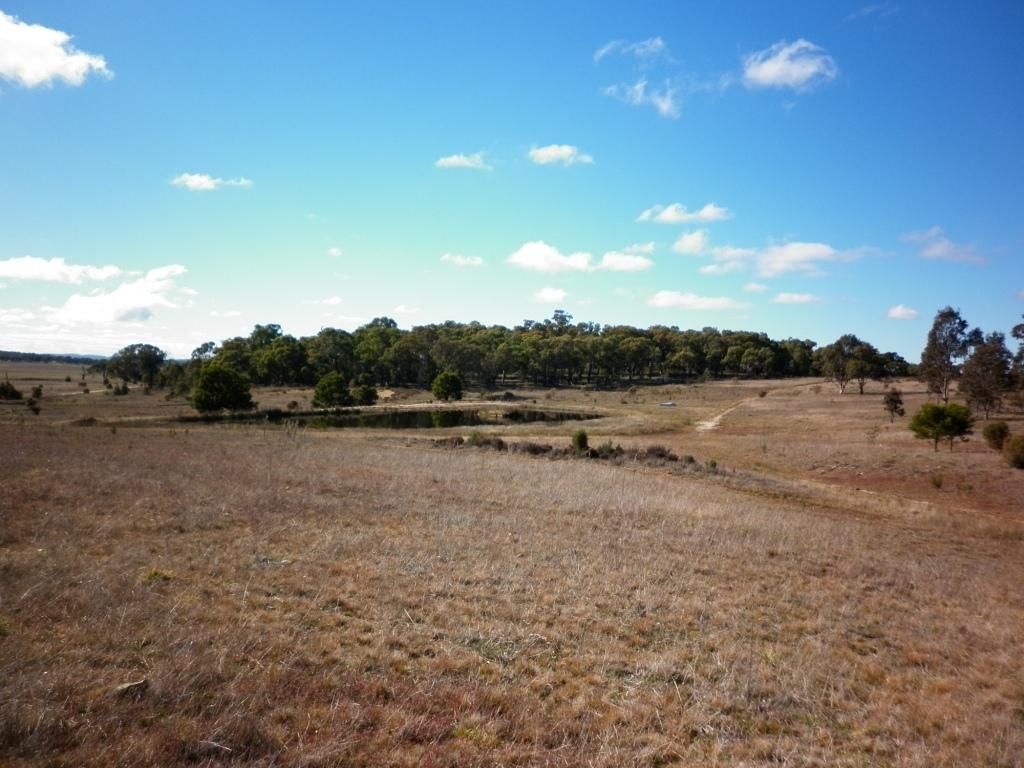 116 Golden Plains Drive, GOULBURN, NSW 2580
