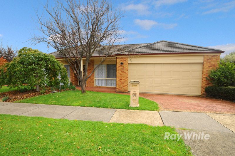 59 Melville Park Drive, BERWICK, VIC 3806