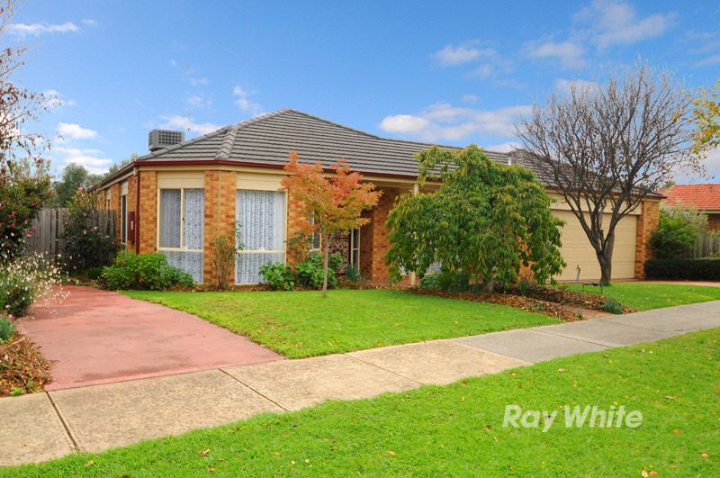 59 Melville Park Drive, BERWICK VIC 3806