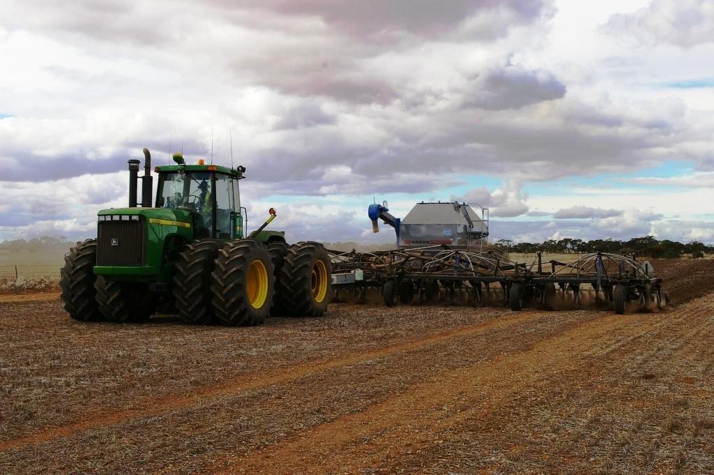 CUNLIFFE, SA 5554