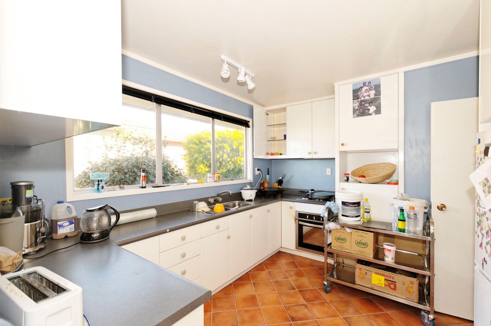 6 Colwill Road, ROYAL HEIGHTS, Waitakere City