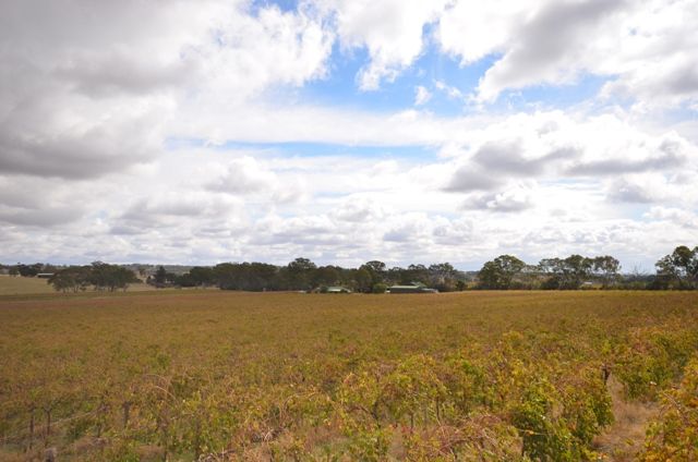 Lot 6 Lyndoch Valley Road, WILLIAMSTOWN, SA 5351