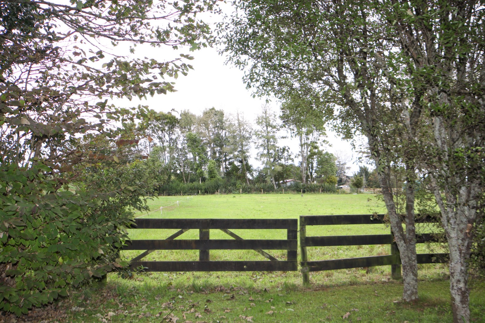 Lot 2 Coombes Road, Te Kowhai, Kaipara District