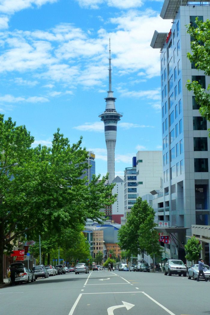 AUCKLAND CENTRAL, Auckland City