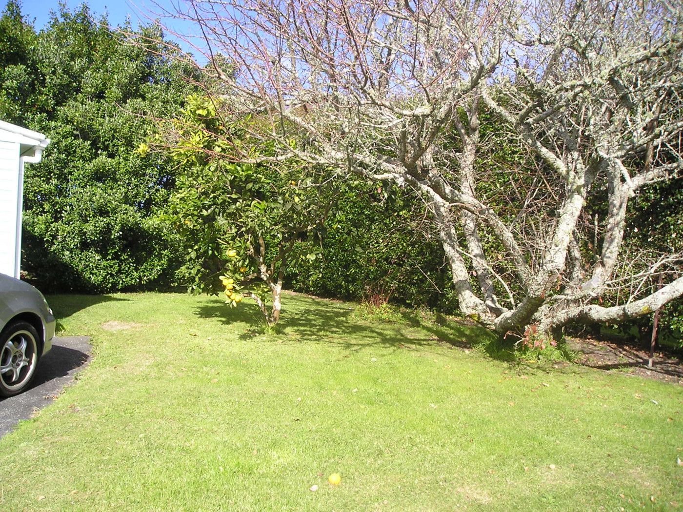 GLENFIELD, North Shore City