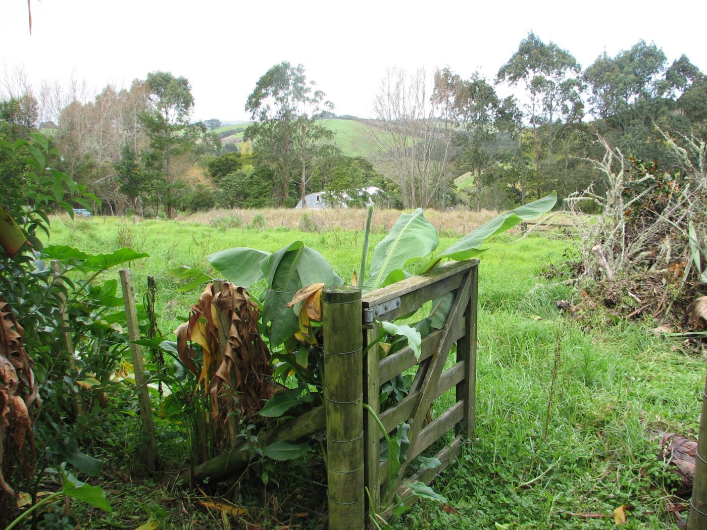 2239 B Stathwy 12, PAPAROA, Kaipara District