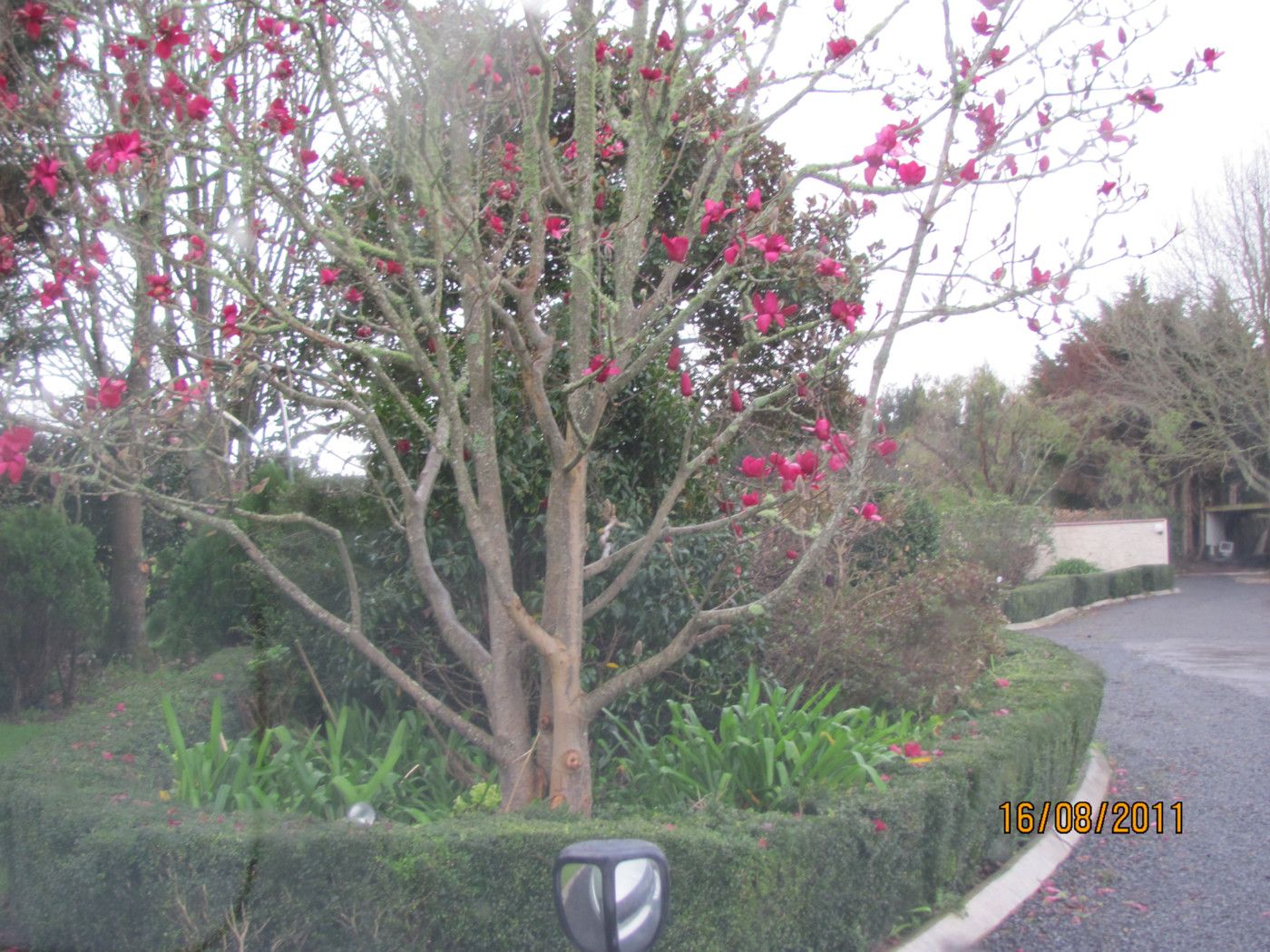 PUKEKOHE, Franklin