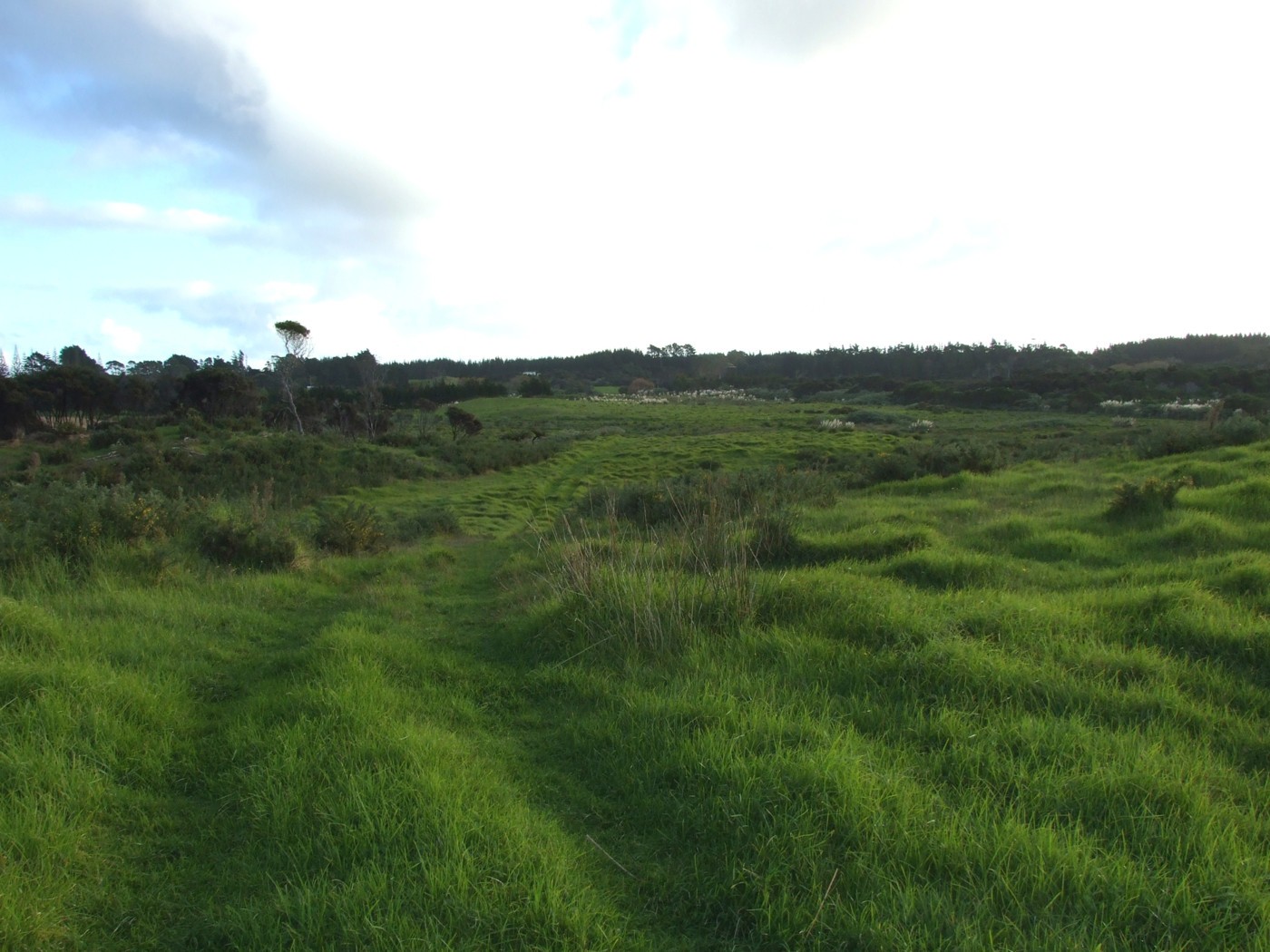 3190 State Highway 1F, Motutangi, Far North District