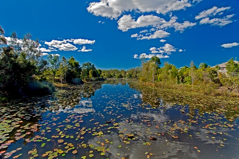 6 Attenuatta Place, NOOSAVILLE, QLD 4566