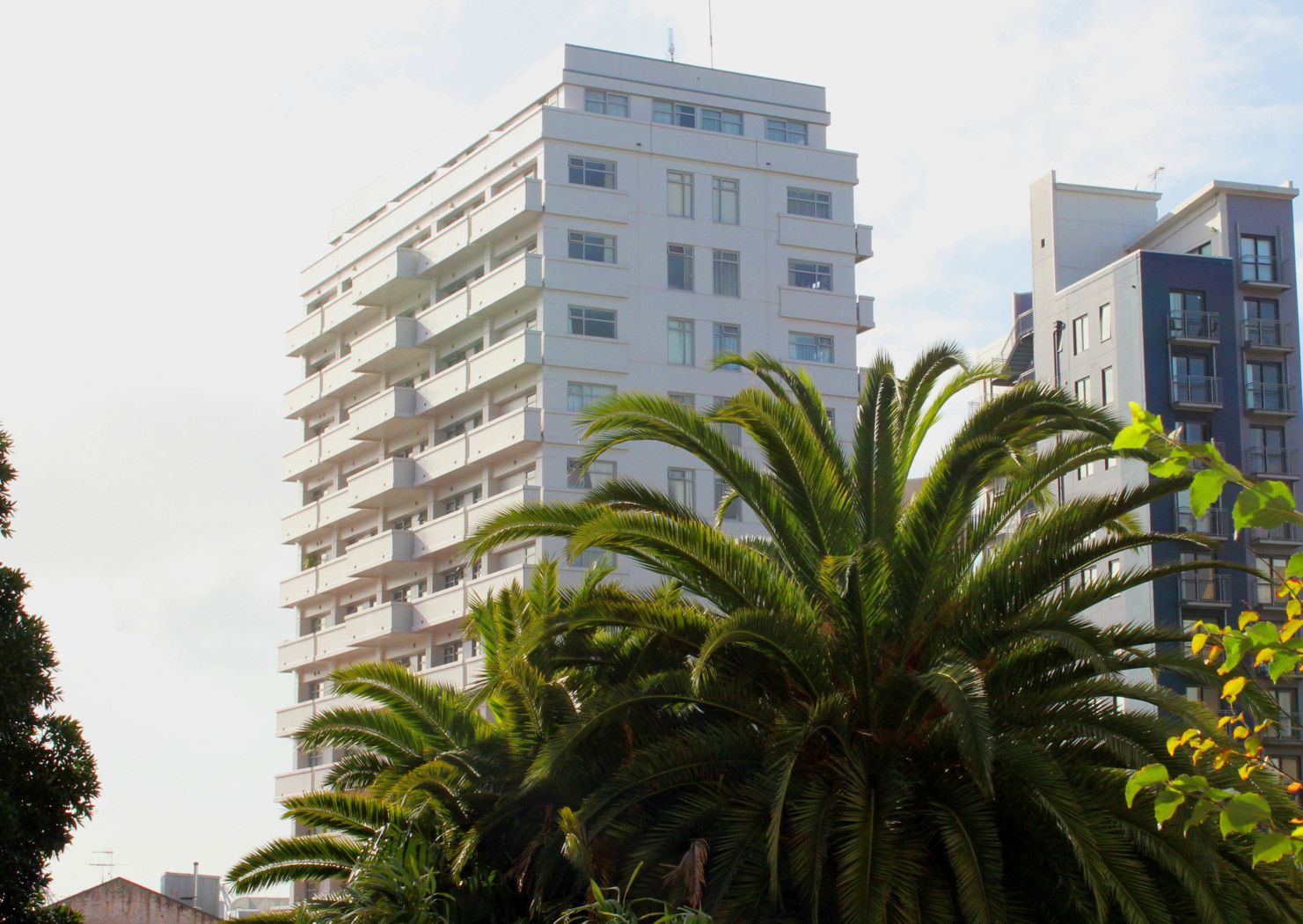 AUCKLAND CENTRAL, Auckland City