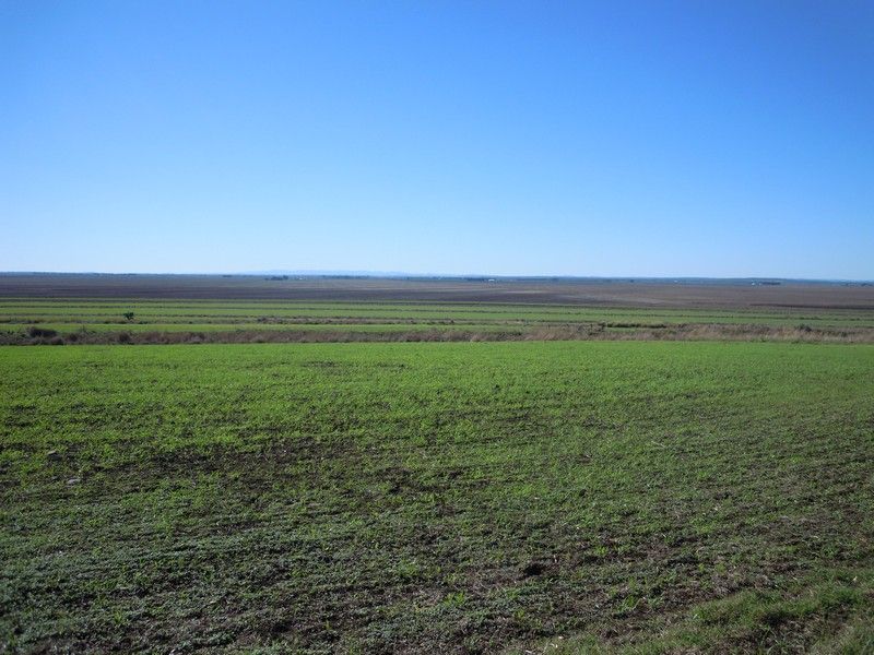 0 Matthews Rd, Mt Moriah, JONDARYAN, QLD 4403