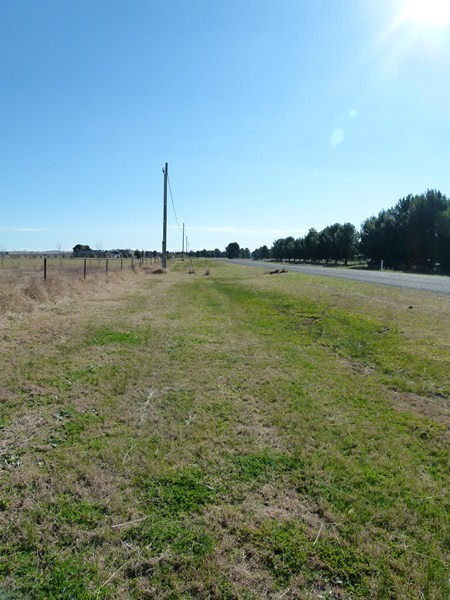 Lot 4 Calarie Road, FORBES, NSW 2871