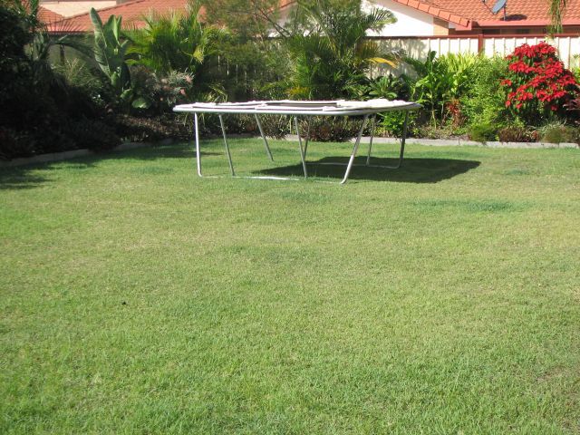 2 Westringia Place, YAMBA, NSW 2464