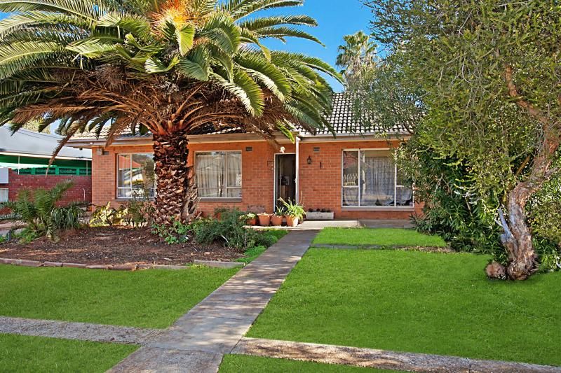 19 Torrens Avenue, KLEMZIG SA 5087