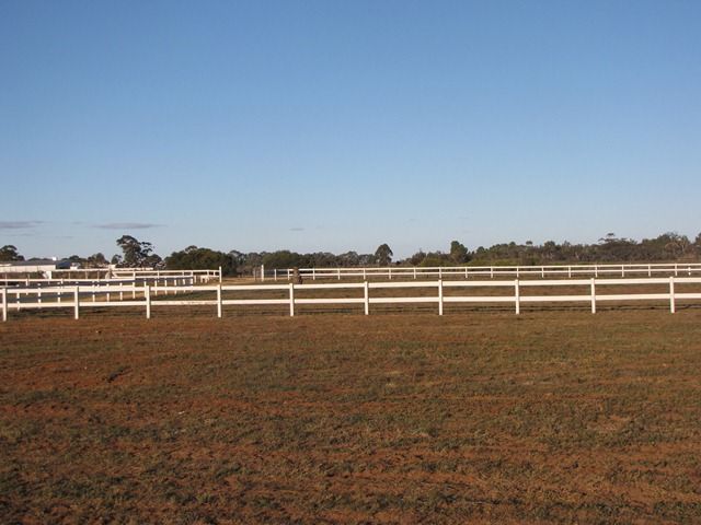286 Caddy Road, LOVEDAY, SA 5345