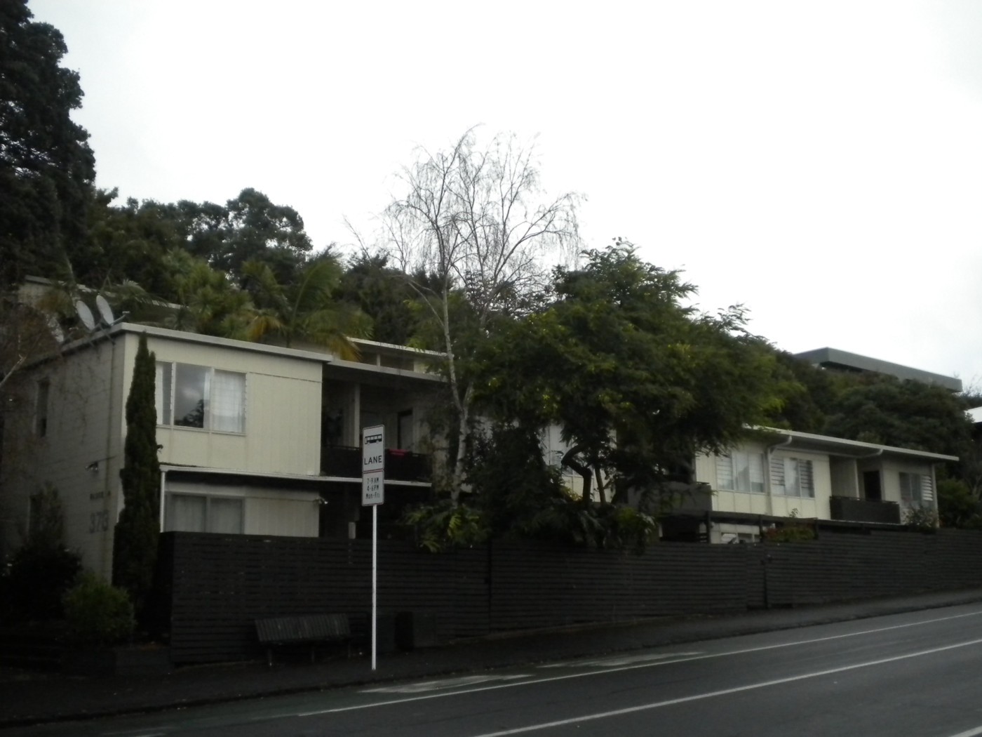 NEWMARKET, Auckland City