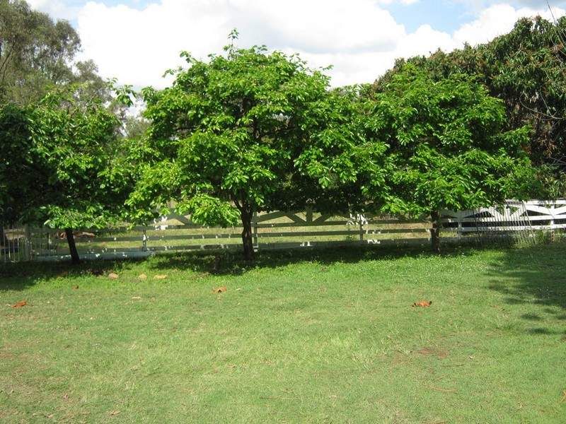 139 Woogaroo Street, ELLEN GROVE QLD 4078