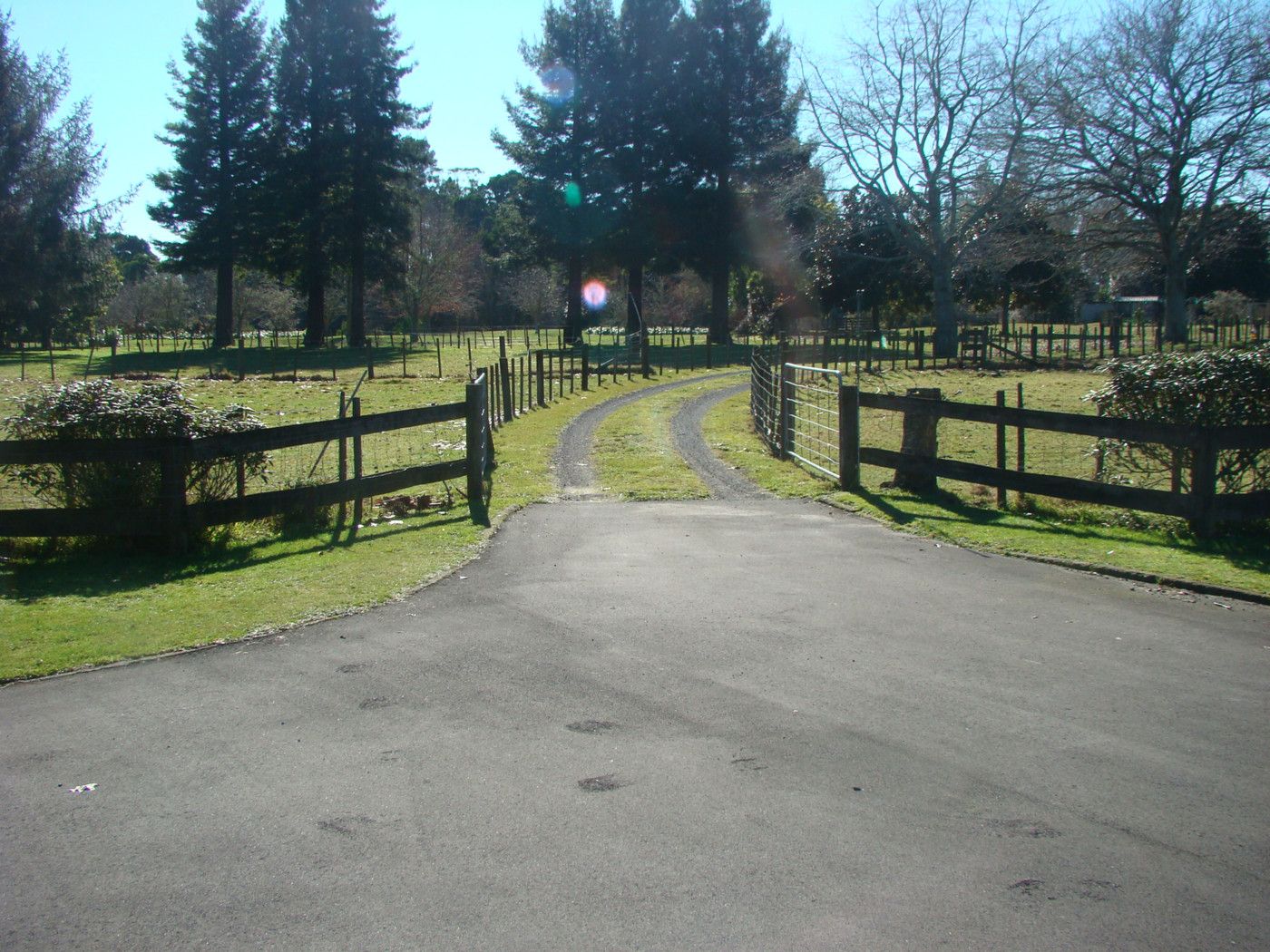 185d Rosebanks Drive, TAMAHERE, Waikato District