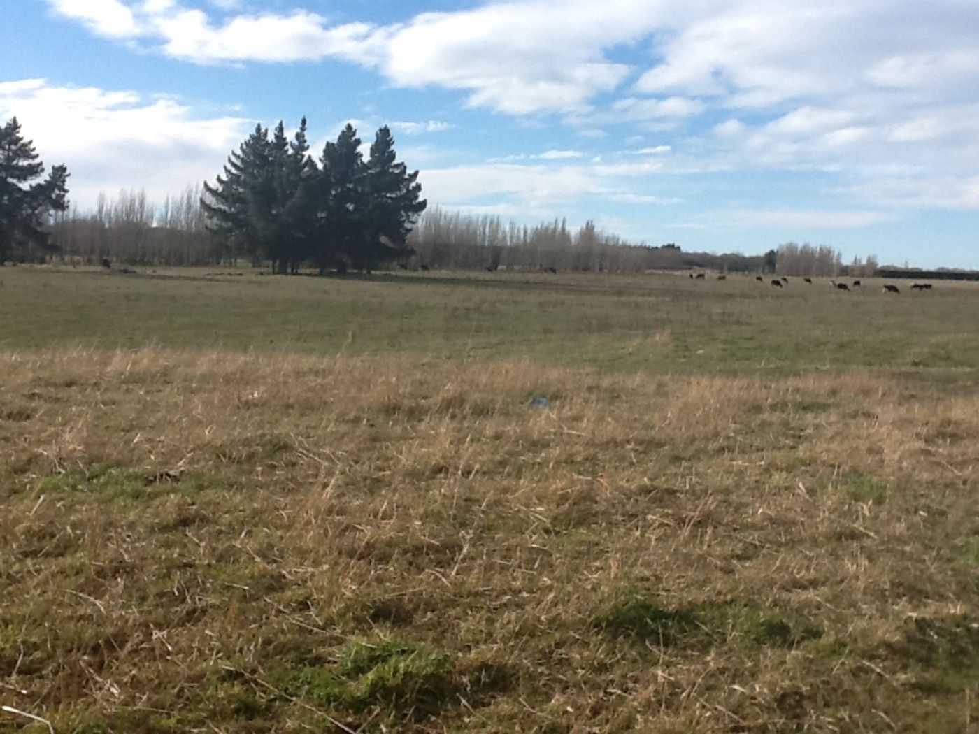 146 Coldstream Road, RANGIORA, Waimakariri District