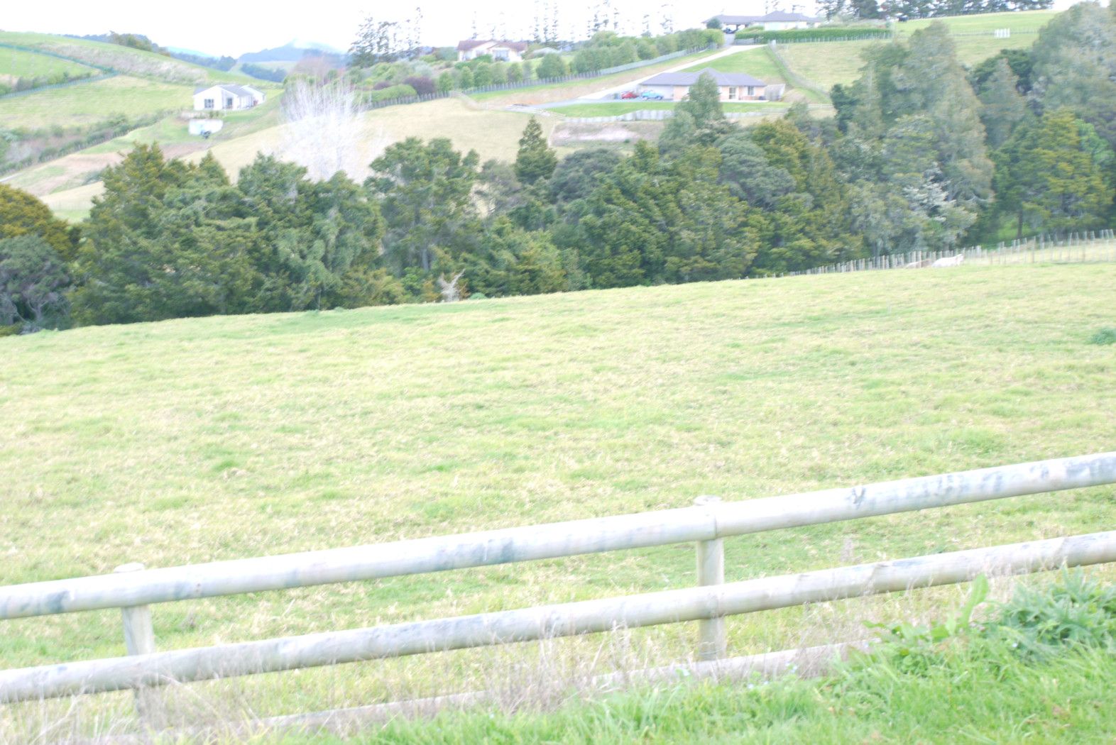 WARKWORTH, Rodney