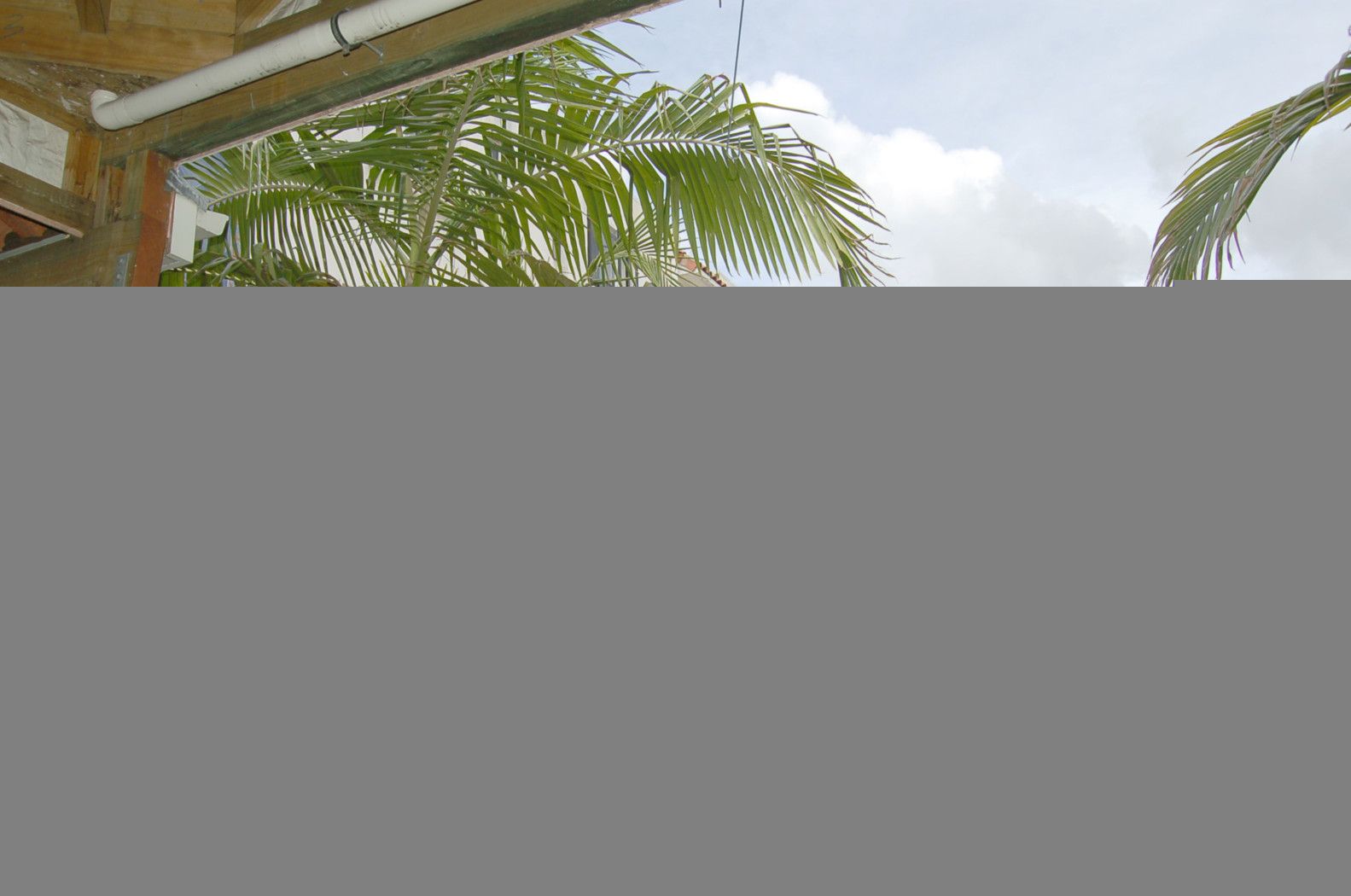 4/ 307 Barton Street, HAMILTON, Hamilton City