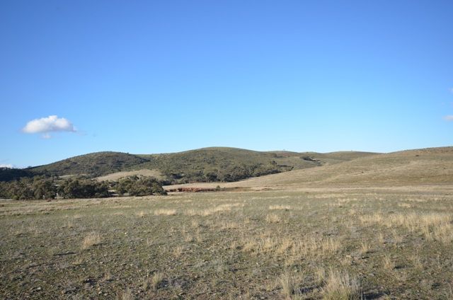 Sections 80 and 83S, MOUNT BRYAN EAST, SA 5419