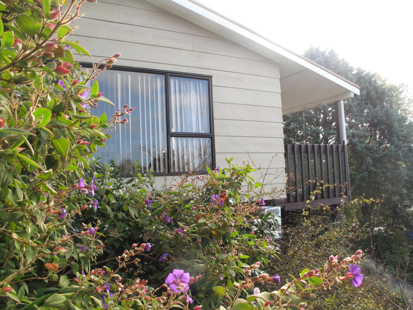 19a Coquette Street, WARKWORTH, Rodney